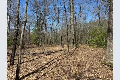 604 W Beaver Road, Bitely, MI 49309 - Photo 94