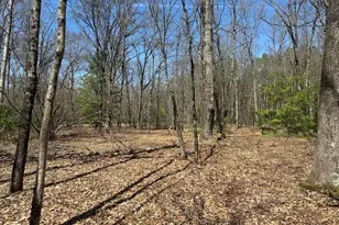 604 W Beaver Rd, Bitely, MI 49309 - Photo 94