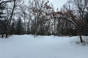 604 W Beaver Rd, Bitely, MI 49309 - Photo 104