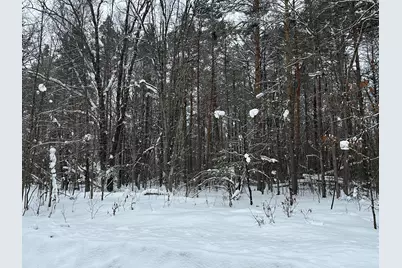 604 W Beaver Road, Bitely, MI 49309 - Photo 92