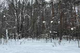 604 W Beaver Rd, Bitely, MI 49309 - Photo 92