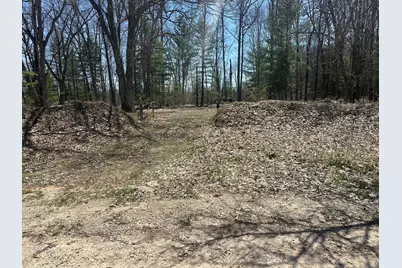 604 W Beaver Road, Bitely, MI 49309 - Photo 96