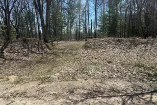 604 W Beaver Rd, Bitely, MI 49309 - Photo 96