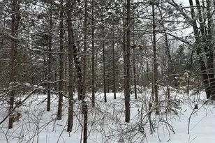 604 W Beaver Rd, Bitely, MI 49309 - Photo 100