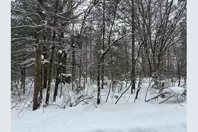 604 W Beaver Road, Bitely, MI 49309 - Photo 98