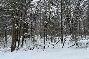 604 W Beaver Rd, Bitely, MI 49309 - Photo 98