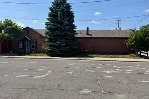 177 S Benson St, White Cloud, MI 49349 - Photo 2