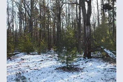 704 N Morris Street, Pentwater, MI 49449 - Photo 4