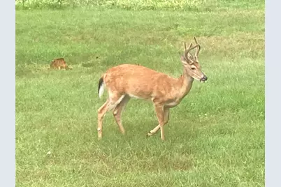 8949 Stadium Drive, Kalamazoo, MI 49009 - Photo 50