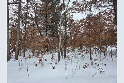 V/L W Mead Street, Baldwin, MI 49304 - Photo 1