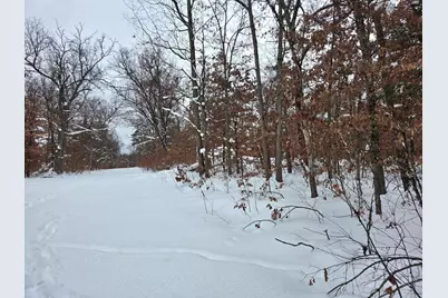 V/L W Mead Street, Baldwin, MI 49304 - Photo 2