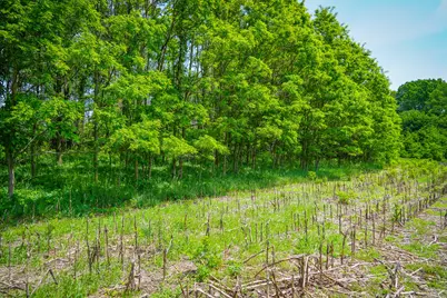 V/L W Johnson Road, Shelby, MI 49455 - Photo 8