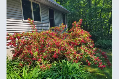 11410 Windsor Drive NE, Sparta, MI 49345 - Photo 54