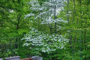 11410 Windsor Dr NE, Sparta, MI 49345 - Photo 52