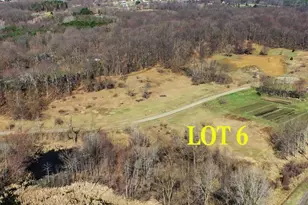 1924 Percy Ln, Highland, MI 48357 - Photo 32