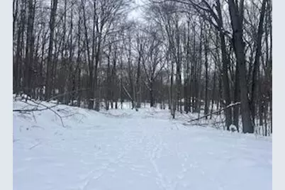 9980 Red Deer Court #577, Canadian Lakes, MI 49346 - Photo 2