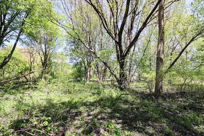 59070 Benny Ct #Parcel 6, Grand Junction, MI 49056 - Photo 4