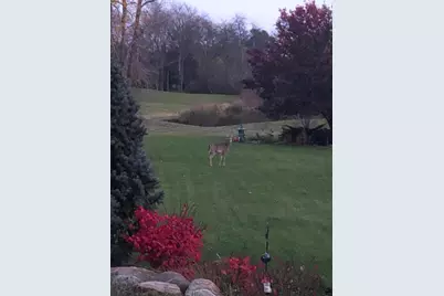 1335 N Silo Ridge Drive, Ann Arbor, MI 48108 - Photo 22