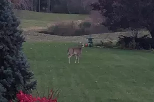 1335 N Silo Ridge Dr, Ann Arbor, MI 48108 - Photo 22