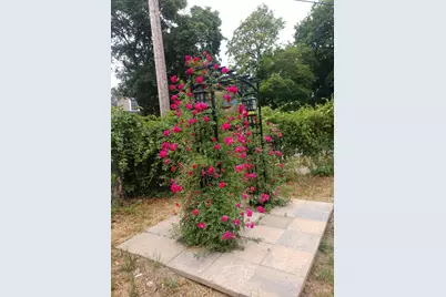 1012 Mills Street, Kalamazoo, MI 49001 - Photo 8