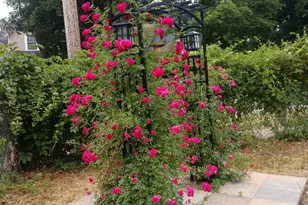 1012 Mills St, Kalamazoo, MI 49001 - Photo 8