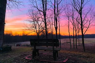 29349 Co Rd 390, Gobles, MI 49055 - Photo 30