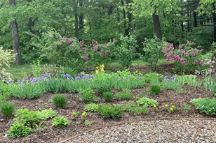 13927 Carter Lake St, Jones, MI 49061 - Photo 58