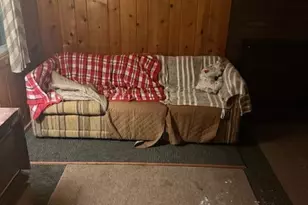 5286 N Twin Creek Rd, Luther, MI 49656 - Photo 2