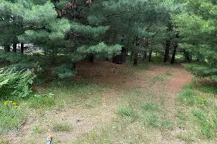 5286 N Twin Creek Rd, Luther, MI 49656 - Photo 20