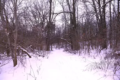 0 E Howe Road, DeWitt, MI 48820 - Photo 34