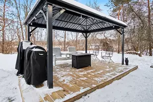 339 S Vine St, Stanton, MI 48888 - Photo 4