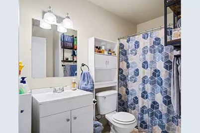 339 S Vine Street, Stanton, MI 48888 - Photo 10