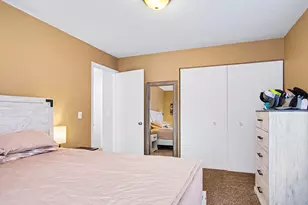 339 S Vine St, Stanton, MI 48888 - Photo 12