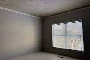 1005 E Duncan St, Manchester, MI 48158 - Photo 8