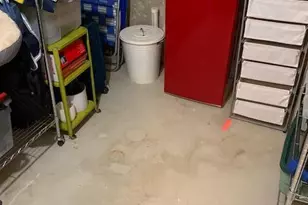 2968 Signature Blvd, Ann Arbor, MI 48103 - Photo 44