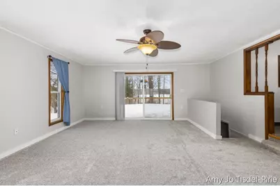 8411 Spring Road, Stanton, MI 48888 - Photo 12