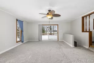 8411 Spring Rd, Stanton, MI 48888 - Photo 12