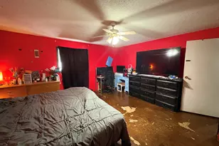 1403 E James St, White Cloud, MI 49349 - Photo 16