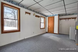 204 S Grove St, Stanton, MI 48888 - Photo 36