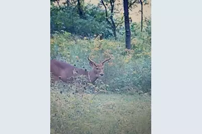 6130 Greggs Crossing Road, Nashville, MI 49073 - Photo 44