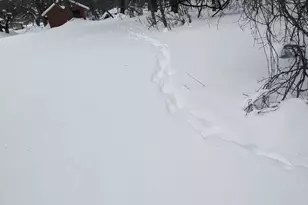 1820 Wilson Ave NW, Grand Rapids, MI 49534 - Photo 64