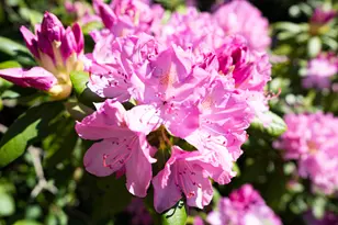 1447 71 1/2 St, South Haven, MI 49090 - Photo 36