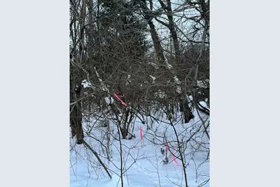 2103 S 13th Street, Niles, MI 49120 - Photo 8