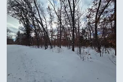 V/L S Harvard Ave., Baldwin, MI 49304 - Photo 6