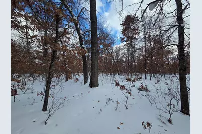 V/L S Harvard Ave., Baldwin, MI 49304 - Photo 8