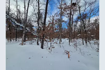 V/L S Astor Rd., Baldwin, MI 49304 - Photo 2