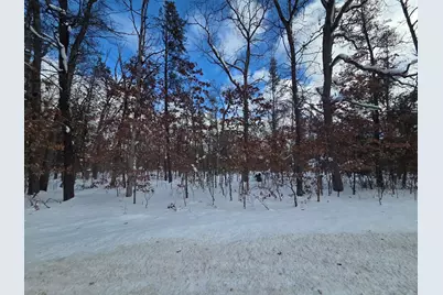 V/L S Astor Rd., Baldwin, MI 49304 - Photo 1