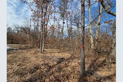 V/L S Astor Rd., Baldwin, MI 49304 - Photo 6