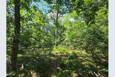 V/L S Astor Rd., Baldwin, MI 49304 - Photo 4