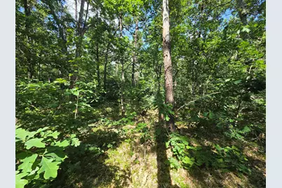V/L S Astor Rd., Baldwin, MI 49304 - Photo 2